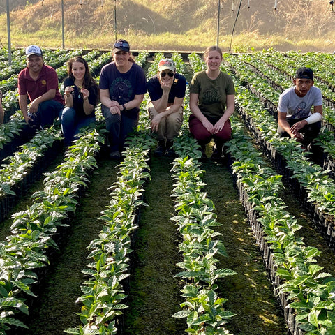 Equal Exchange staff and CESMACH co-op members in greenhouse of coffee seedlings in Chiapas, Mexico