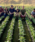 Equal Exchange staff and CESMACH co-op members in greenhouse of coffee seedlings in Chiapas, Mexico